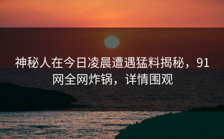 神秘人在今日凌晨遭遇猛料揭秘，91网全网炸锅，详情围观