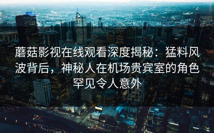 蘑菇影视在线观看深度揭秘：猛料风波背后，神秘人在机场贵宾室的角色罕见令人意外