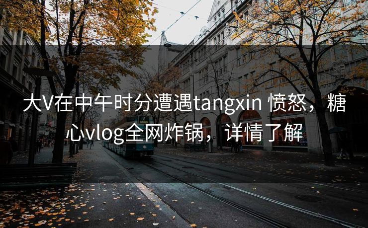 大V在中午时分遭遇tangxin 愤怒，糖心vlog全网炸锅，详情了解