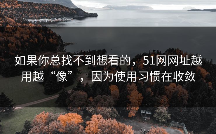 如果你总找不到想看的，51网网址越用越“像”，因为使用习惯在收敛
