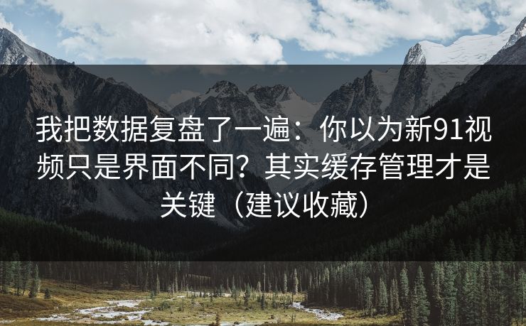我把数据复盘了一遍：你以为新91视频只是界面不同？其实缓存管理才是关键（建议收藏）
